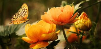 Ile kosztuje mycie roweru?