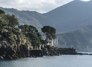 Ile kosztuje 1 litr paliwa lotniczego?