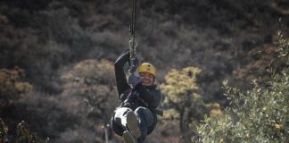 Jaka linka do tyrolki?