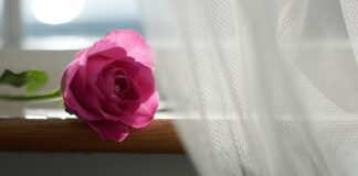 Jakie firanki do zasłon na przelotkach?