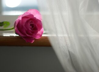 Jakie firanki do zasłon na przelotkach?