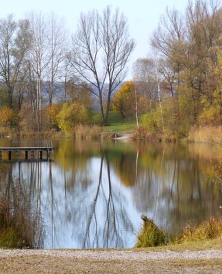 Czy na okonia potrzebny jest przypon?