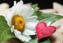 Jaki zacisk do sztycy 27,2?