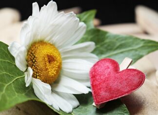 Jaki zacisk do sztycy 27,2?