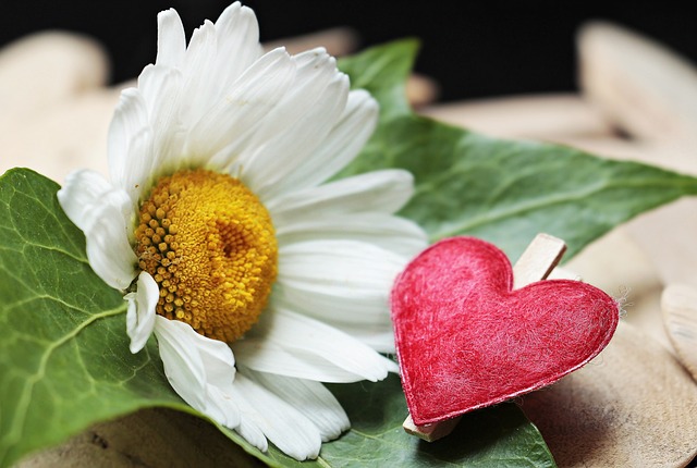 Jaki zacisk do sztycy 27,2? Jaki zacisk do sztycy 27,2?