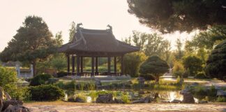 W jakich butach gra Iga?