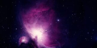 Jak długo trwa nauka jazdy na rowerze?