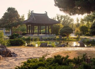 Jakim chwytem gra Iga? Jakim chwytem gra Iga?