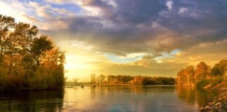 Co oznaczają kolory Szczytówek feeder?