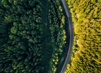 Jakie rączki w Karkonosze?