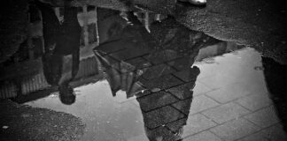 Jaka przynęta na grunt?