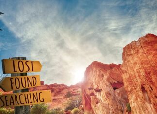 Co grozi żołnierzowi za zgubienie broni?