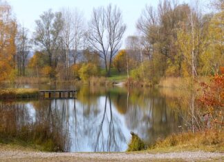 Jak długi przypon na okonia?