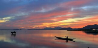 W jakich godzinach najlepiej łowić na spinning?