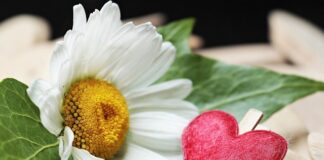 Jaki zacisk do sztycy 28,6?