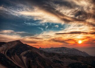 W jakich godzinach najlepiej bierze sum?