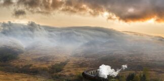 Co to znaczy przelotki?