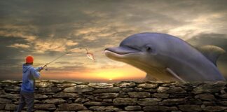 Jaka żyłka na przypon do metody?