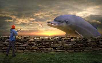 Jaka żyłka na przypon do metody?