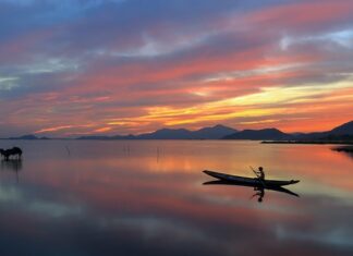 Jak łowić ryby na grunt?