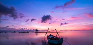 Czy kolor żyłki ma znaczenie?