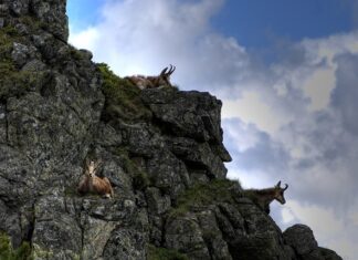 Czy trasa na Czerwone Wierchy jest trudna?