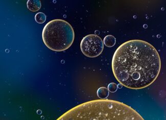 Po czym poznać że w wodzie jest karp?