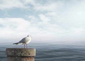 Jak uspokoić puls serca?