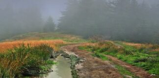 Jak zjeżdżać z Gorki?