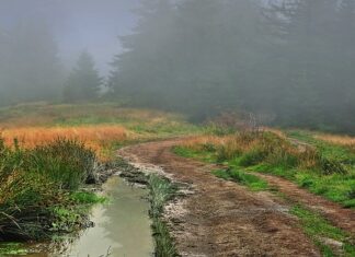 Jak zjeżdżać z Gorki?
