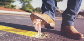 Jakie gumy na sandacza w nocy?