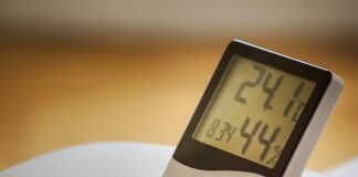 Jaki higrometr do roślin?