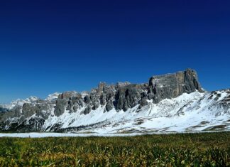 Jaki nawóz do akwarium bez CO2? Jaki nawóz do akwarium bez CO2?