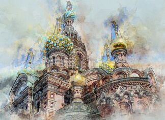 Po czym poznać że roślina jest przelana? Po czym poznać że roślina jest przelana?