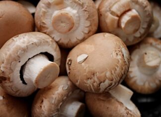 Co to znaczy korzenny?