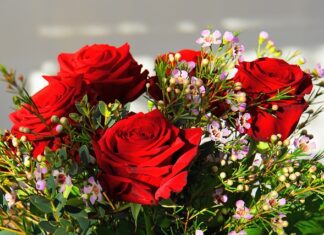 Jaki jest najdroższy kwiat?