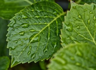 Jak pozbyć się wilgoci domowym sposobem? Jak pozbyć się wilgoci domowym sposobem?