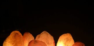 Jak działa jonizator w akwarium?