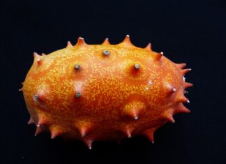 Czy ogórek to jest owoc?