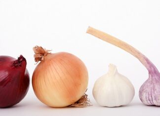 Czy cebula to jarzyna?