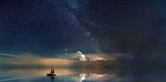 Czy rooibos można pić na noc?