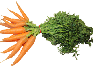 Jakie zioła do marchewki? Jakie zioła do marchewki?