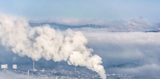 Co daje dwutlenek węgla w akwarium?