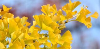 Jak ustawić wentylator z czujnikiem wilgoci?