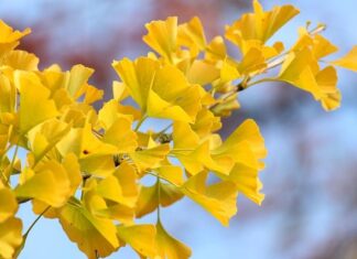 Jak ustawić wentylator z czujnikiem wilgoci?