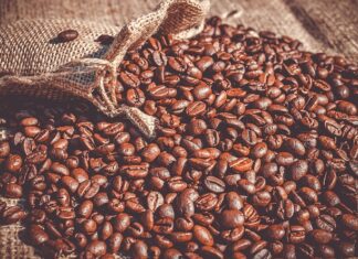 Czy Fasolę można jeść na surowo?