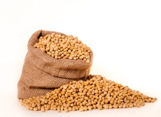 Czy Soja to roślina strączkowa ta?