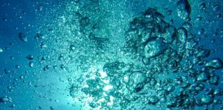 Czy muszą być bąbelki w akwarium?