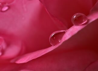 Jaka powinna być wilgotność w sypialni? Jaka powinna być wilgotność w sypialni?