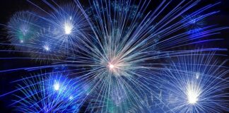 Jak myć sztuczne rośliny w akwarium?